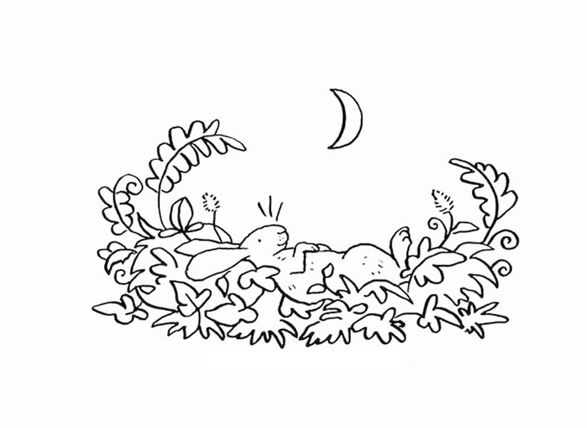 823x600 Guess How Much I Love You Little Nutbrown Hare Sleeping On Grass