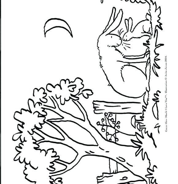 580x600 I Love You Pictures To Color Nut Brown The Little Hare Guess How