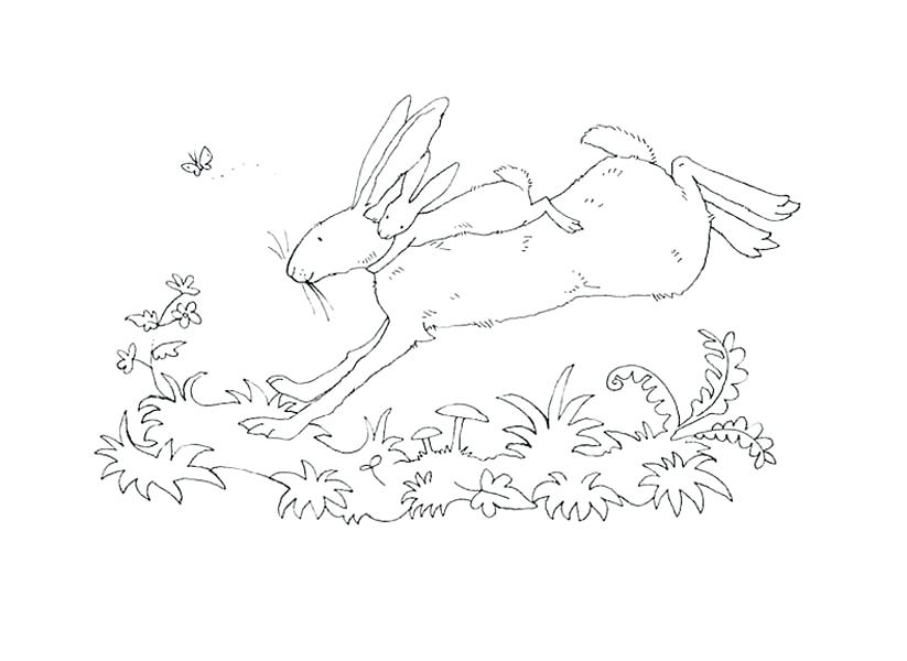 823x600 Guess How Much I Love You Coloring Book