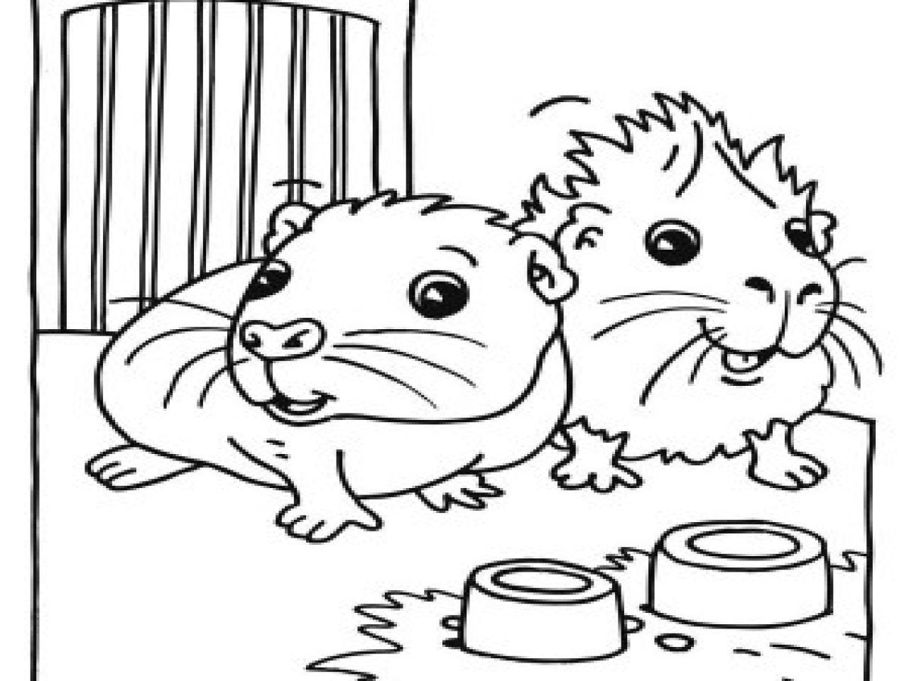 Guinea Pig Coloring Pages