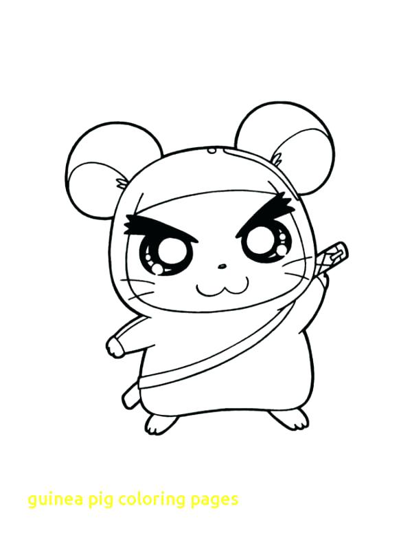 600x782 Guinea Pig Coloring Pages Top Free Printable Guinea Pig Coloring