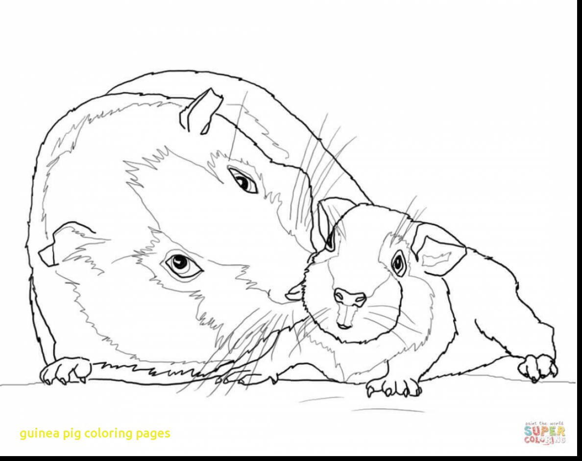 1188x941 Guinea Pig Coloring Pages With Astounding Baby Sheets 27142