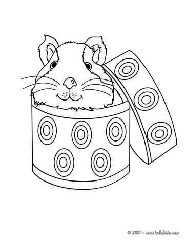 363x470 Guinea Pig In A Box Coloring Page Tennie Box
