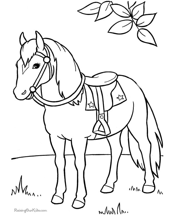 Gypsy Vanner Coloring Pages