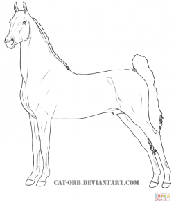 254x300 Gypsy Vanner Horse For Coloring Page 0
