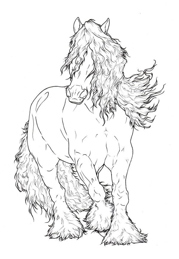 600x868 Gypsy Vanner Lineart By Requay On Coloring Pages