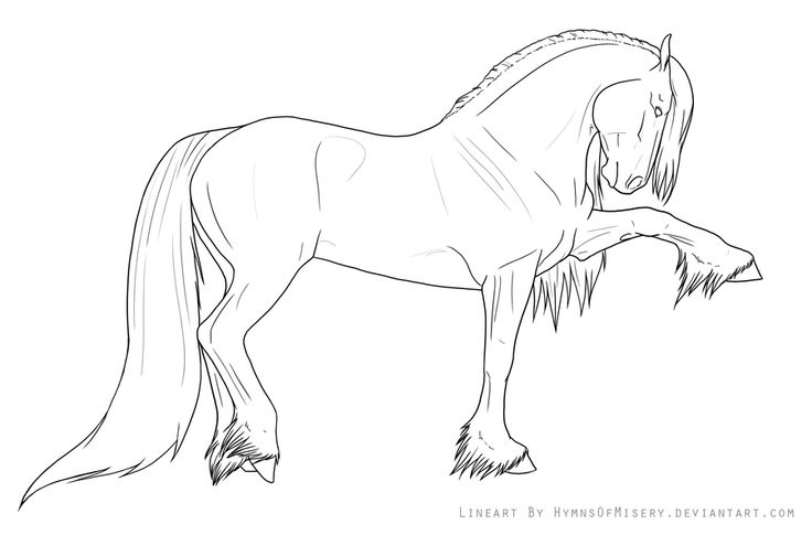 736x485 Gypsy Horse Coloring Pages