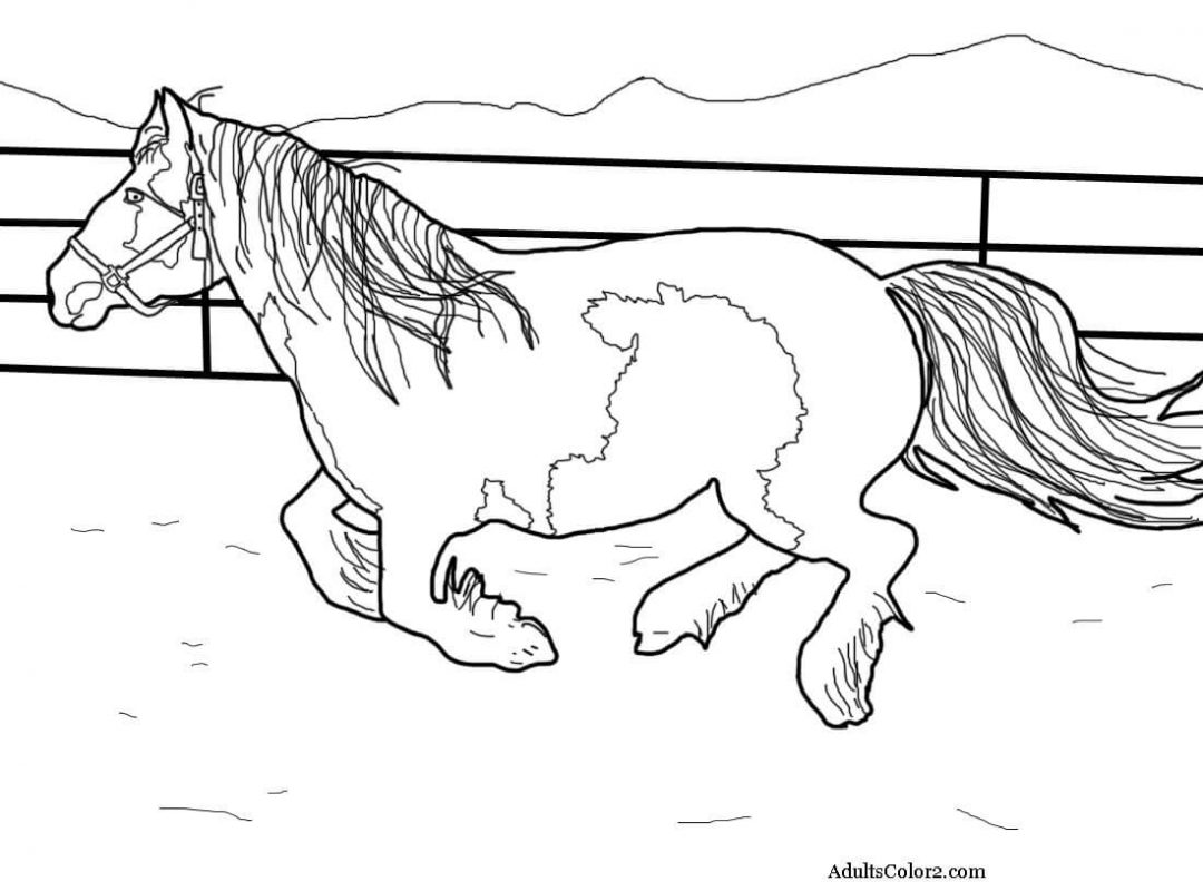 1080x800 Simple Horses Coloring Pages To Print Realistic Horse Online
