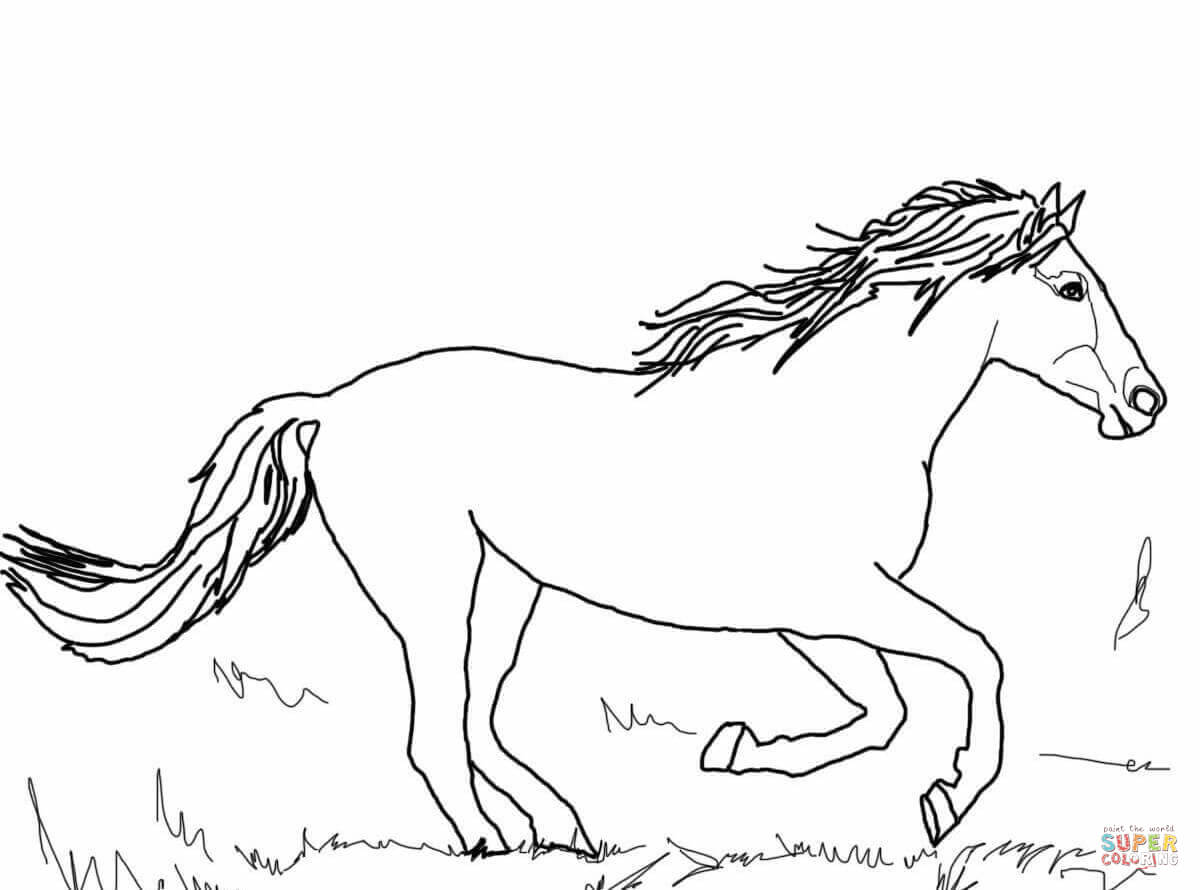 1200x890 Value Wild Horse Coloring Pages To Print Mustang Page Free