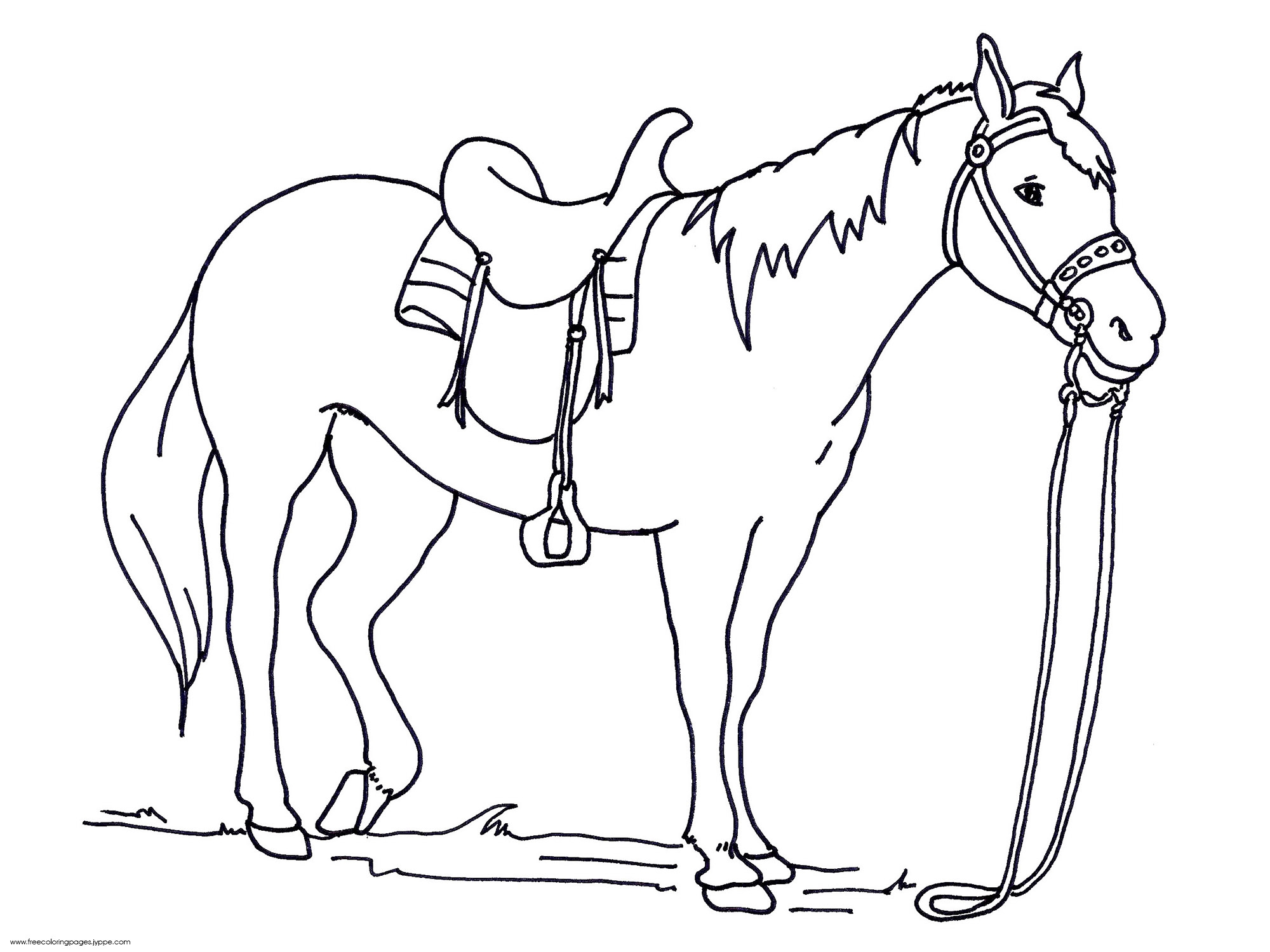 2000x1500 Gypsy Vanner Horse Coloring Page Free Printable Pages