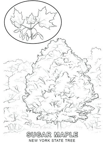 340x480 New York Flag Coloring Page