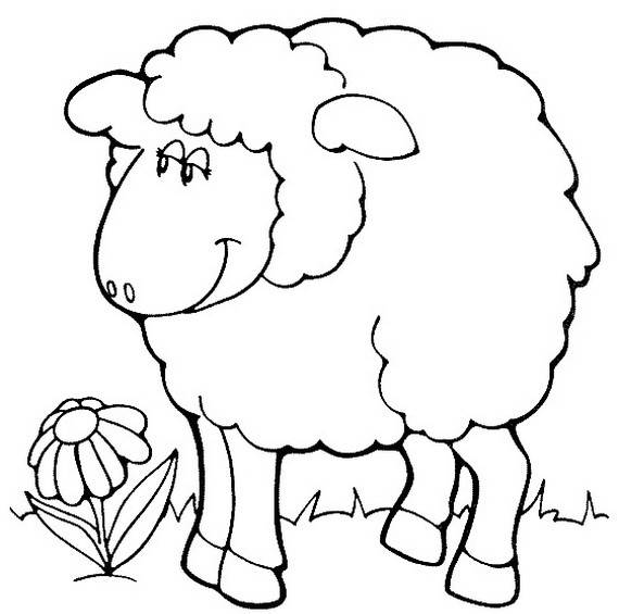 570x565 Eid Al Adha