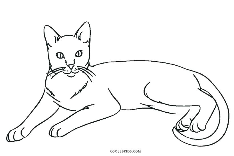 820x547 Cat Halloween Coloring Pages
