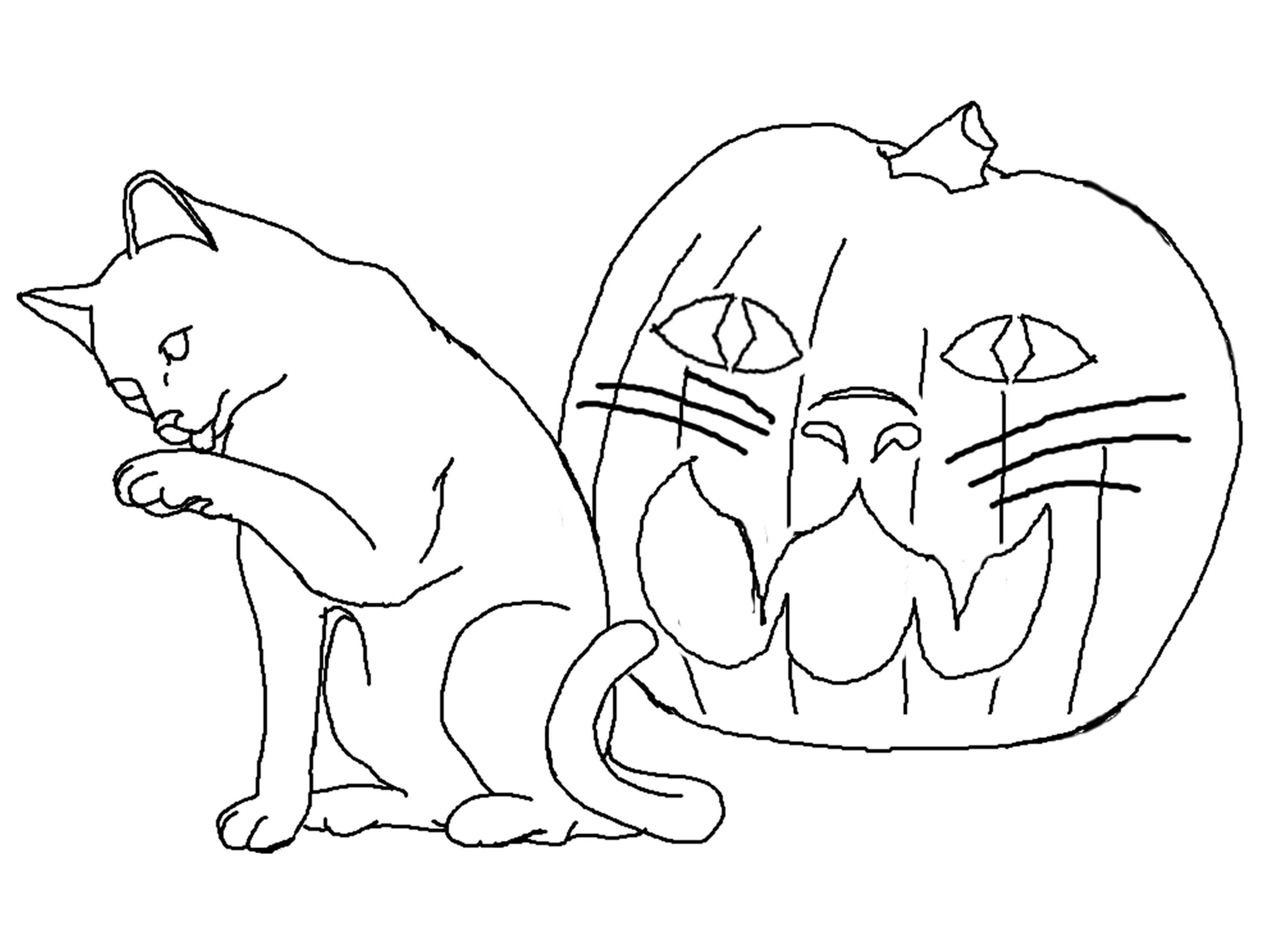 3232x2400 Free Printable Cat Coloring Pages For Kids