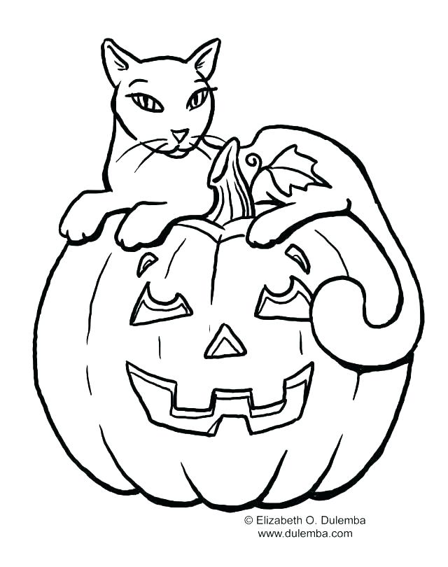 640x810 Free Coloring Pages Halloween Cats Printable Black Cat