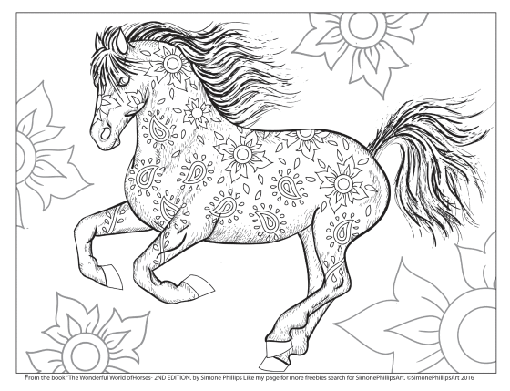 560x429 The Wonderful World Of Horses Adult Coloring Colouring Book