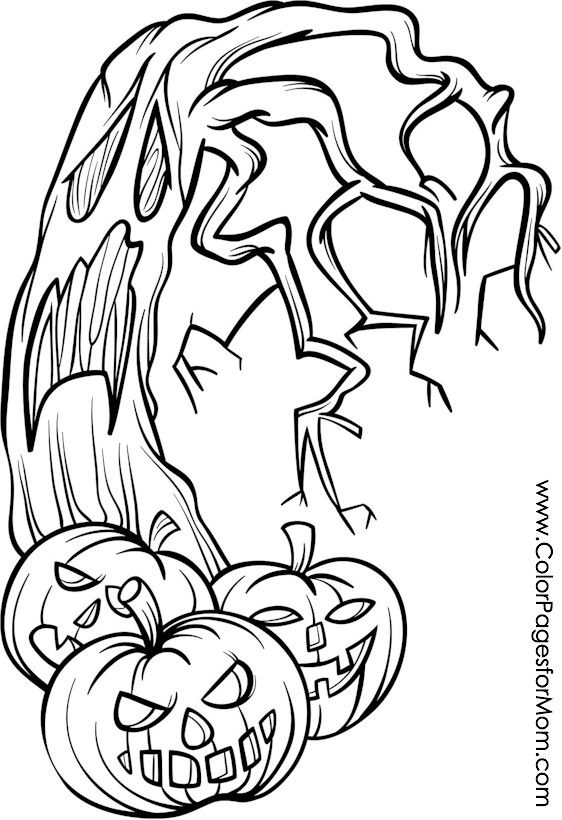 Halloween Jack O Lantern Coloring Pages