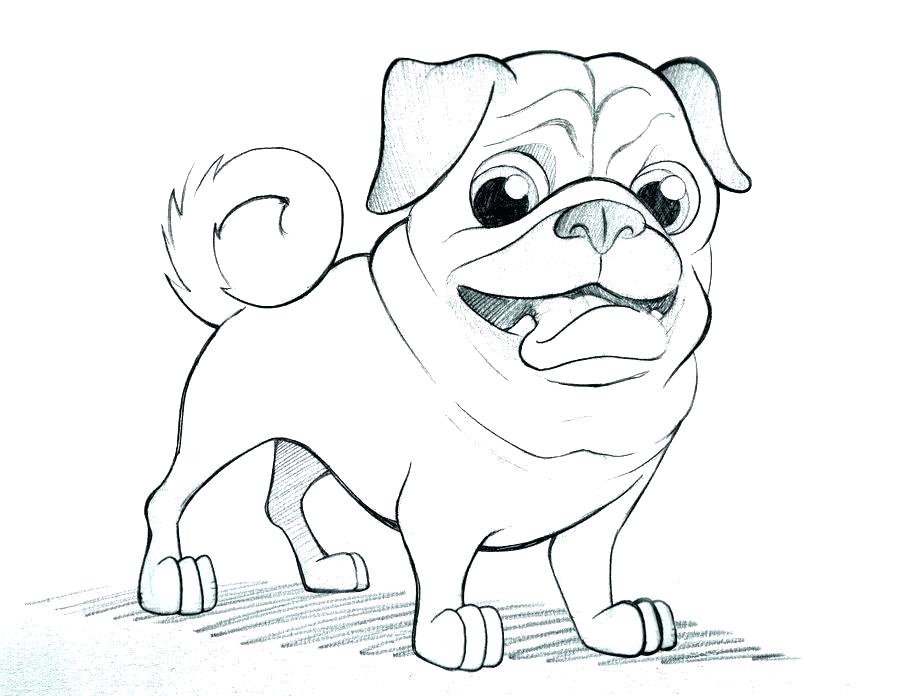 900x696 Pug Coloring Pages Pug Coloring Pictures Epic Pug Coloring Page