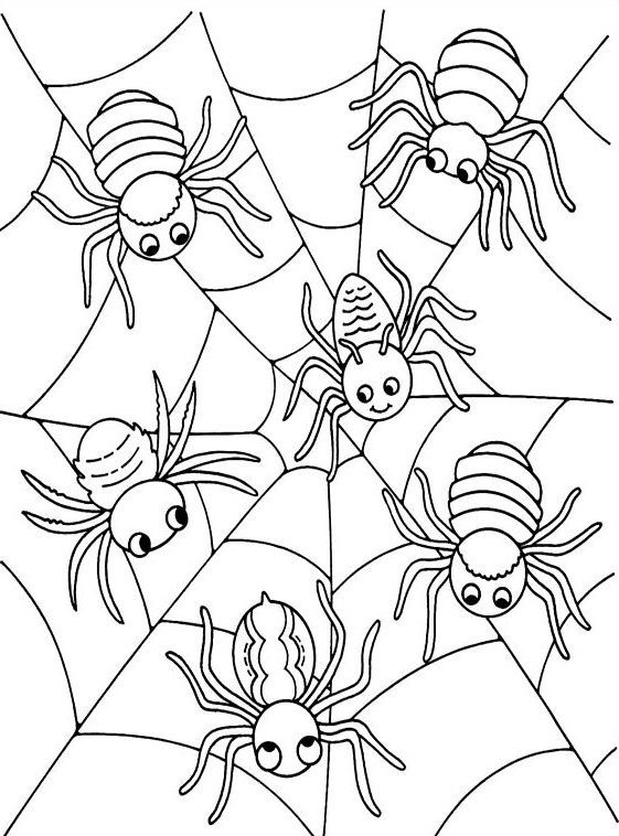 561x758 Halloween Coloring Pages Spider Web