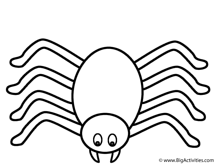 738x560 Spider Coloring Pages