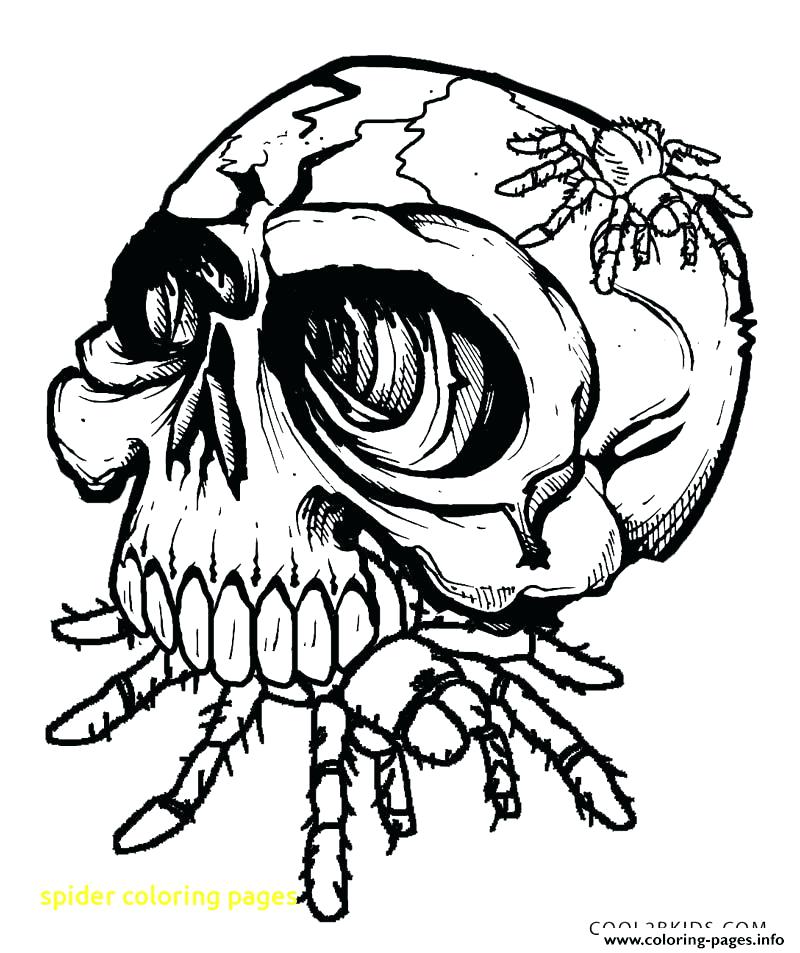 800x953 Halloween Spider Coloring Pages Spider In Spider Web Coloring Page
