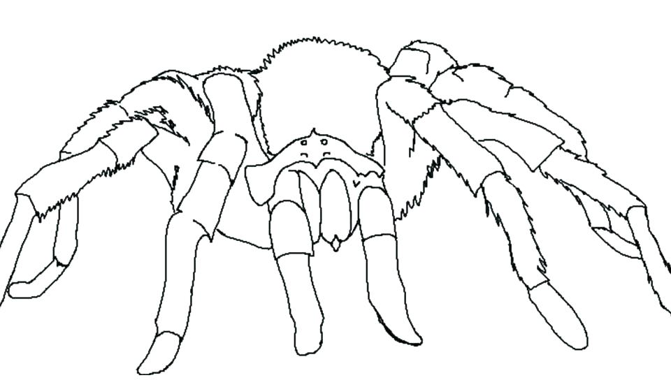 960x544 Printable Halloween Mask Cutouts Printable Coloring Spider