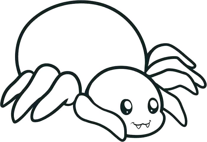 700x480 Spider Coloring Pictures