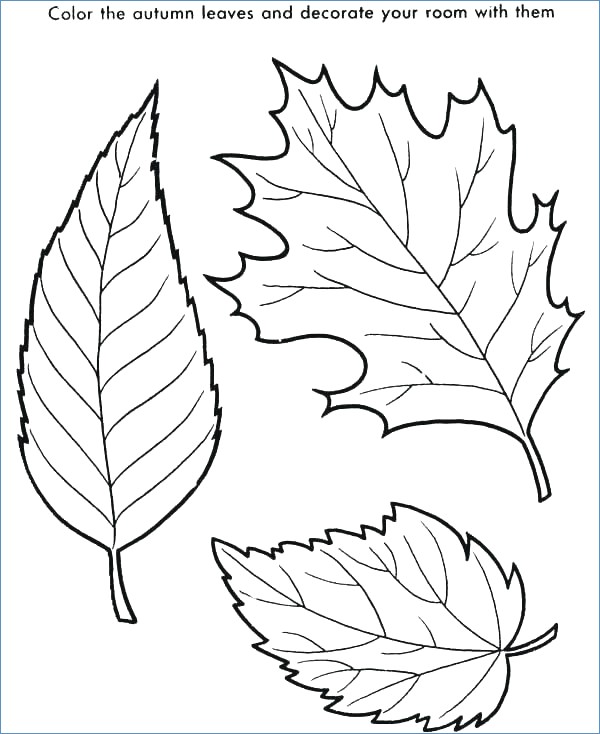 600x734 Scary Halloween Tree Coloring Pages