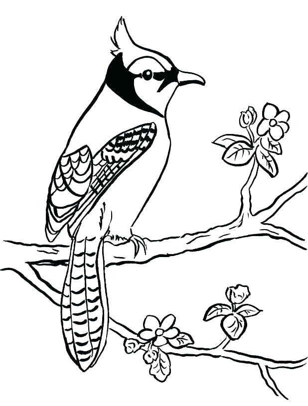 618x815 Dr Seuss Green Eggs And Ham Coloring Pages