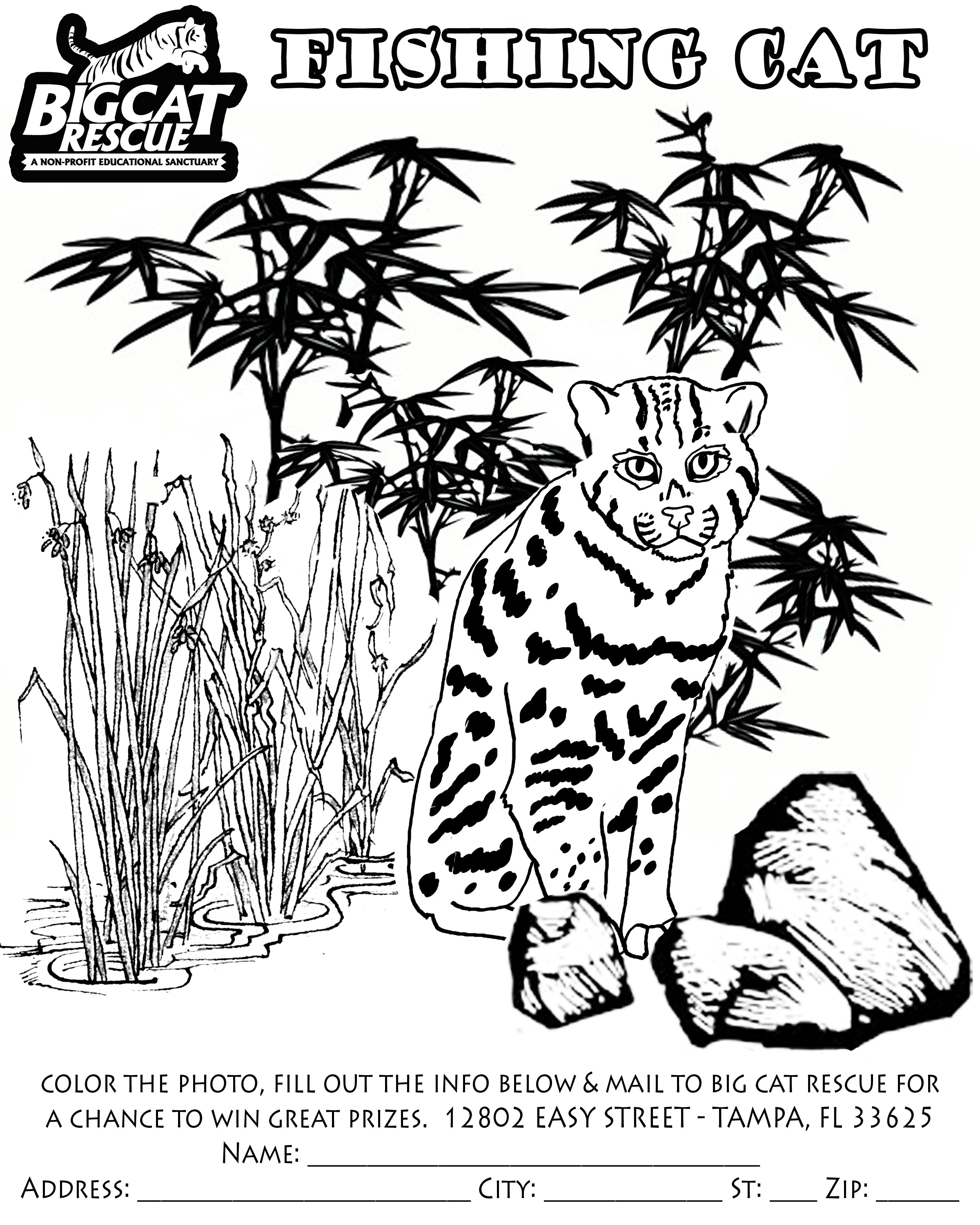 2400x3000 Coloring Pages