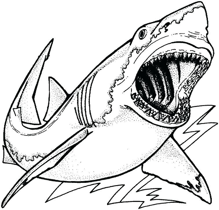 757x727 Free Shark Coloring Pages As Well As Hammerhead Shark Coloring
