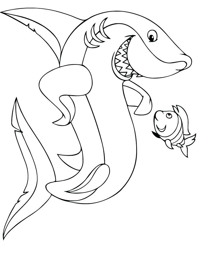 688x885 Hammerhead Shark Coloring Pages Great White Shark Coloring Page