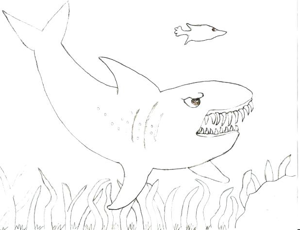 618x474 Coloring Inspiring Shark Coloring Hammerhead Shark Coloring