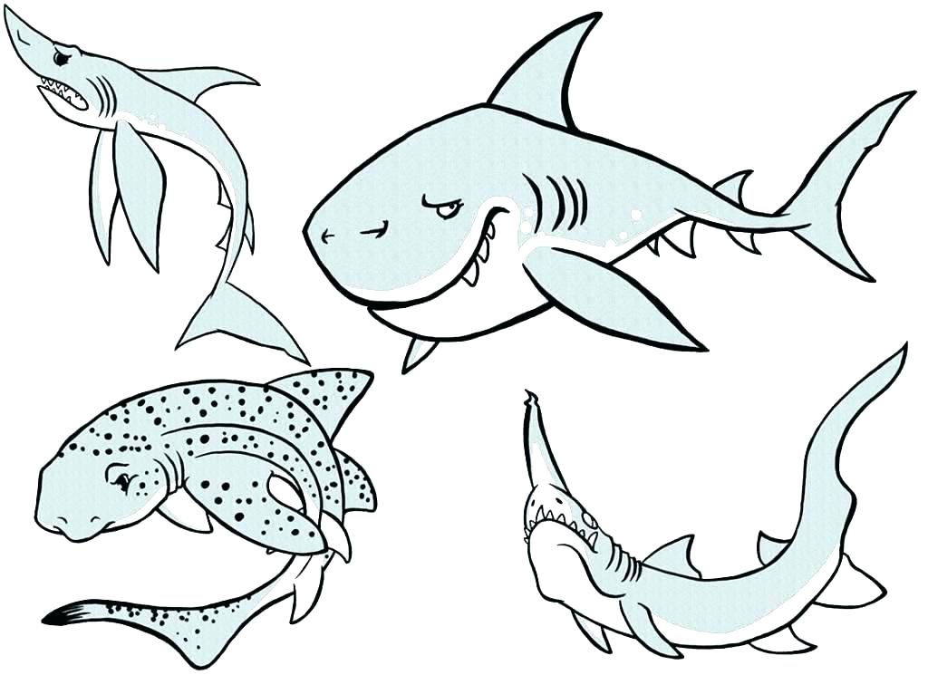 1024x745 Coloring Page Shark Majestic Design Hammerhead Shark Coloring Page