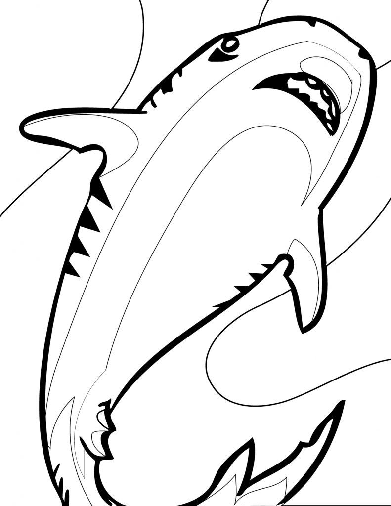 791x1024 Free Printable Shark Coloring Pages For Kids Shark And Free