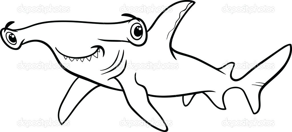 1023x463 Hammerhead Shark Coloring Pages Free Printable Coloring Coloring