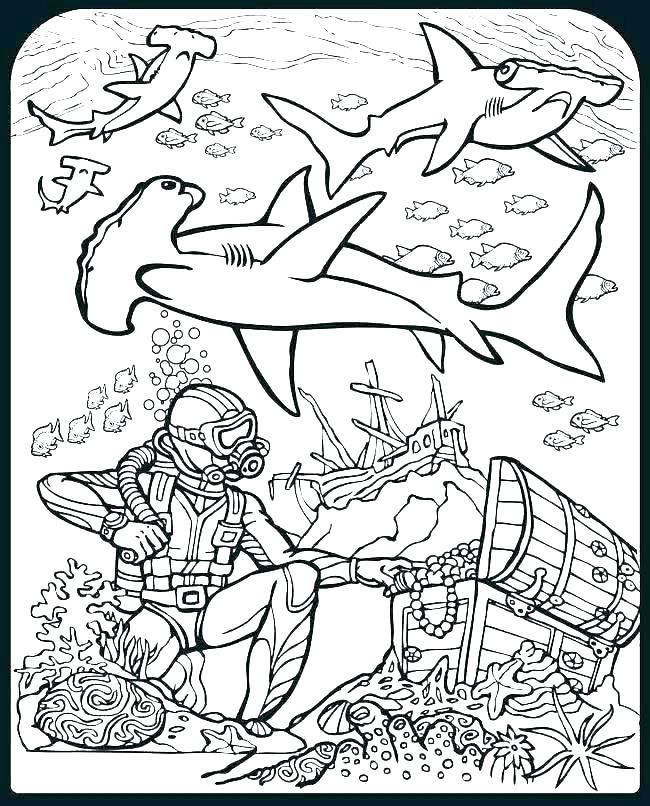 650x806 Hammerhead Shark Coloring Pages Cliptext.co