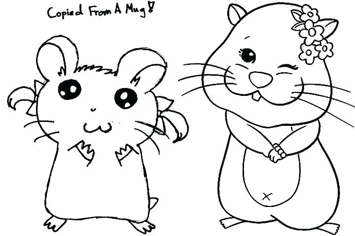 Hamster Coloring Pages