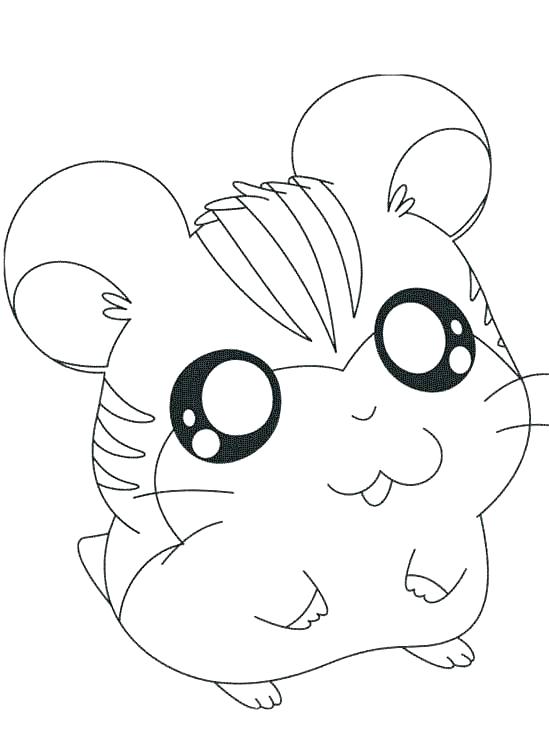 549x749 Hamster Coloring Page Pet Hamster Coloring Pages
