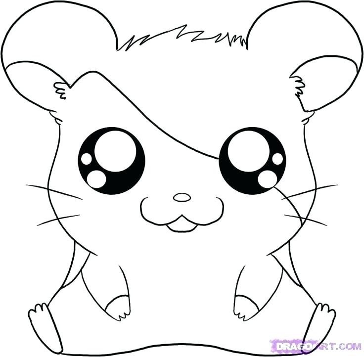 736x722 Hamster Coloring Pages Top Rated Hamster Coloring Pages Pictures