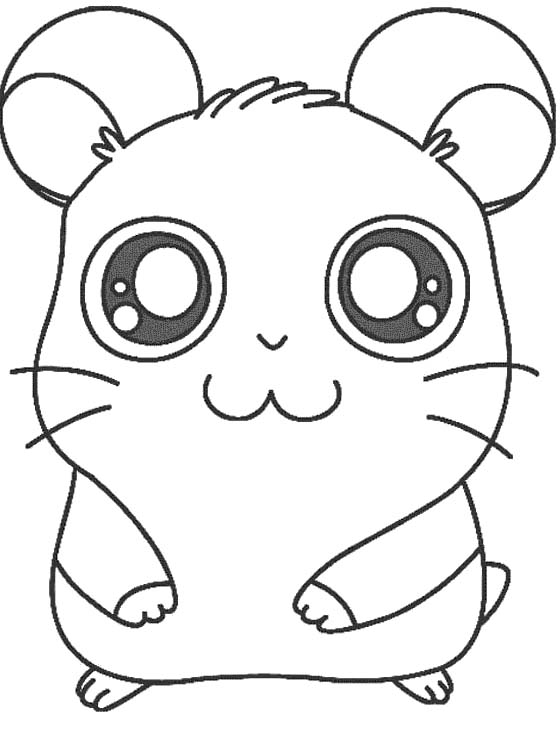 560x740 Hamster Pictures To Color Awesome Hamster Coloring Pages 67 For Ew