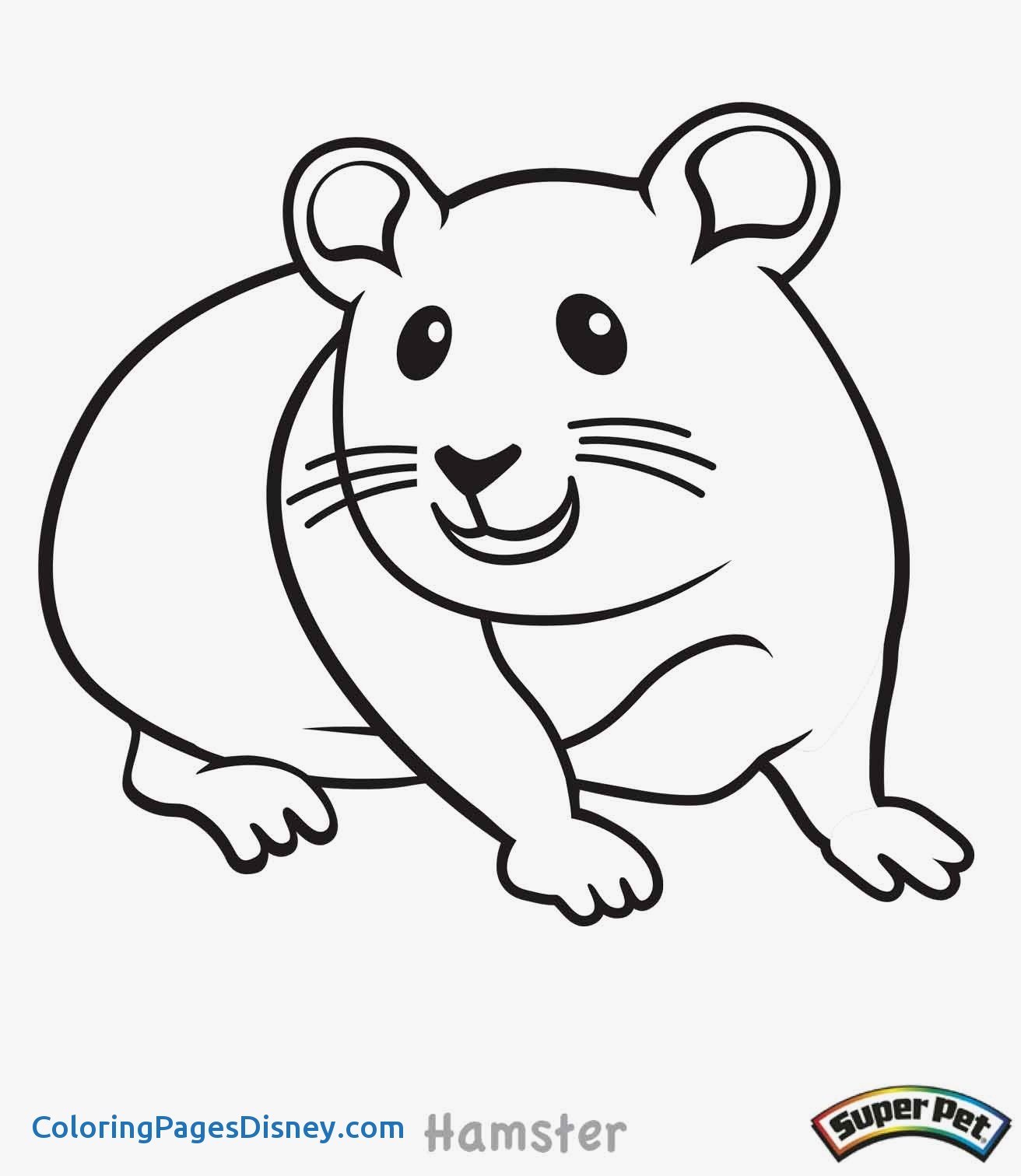 1312x1512 Hamsters Coloring Pages Fresh Hamster Coloring Pages Best