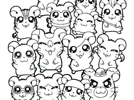 440x330 Coloring Hamster Coloring Page Cute Pages Realistic Baby Cartoon