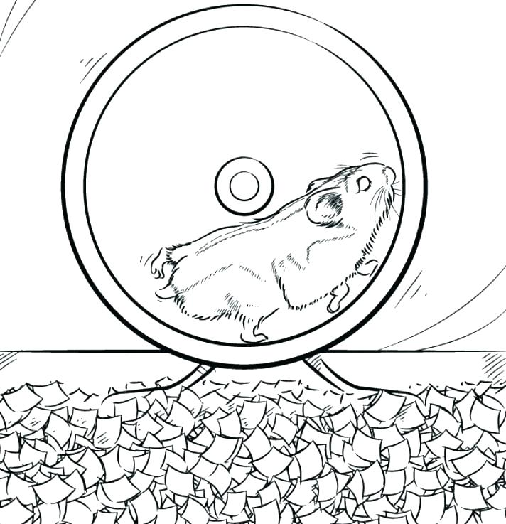 712x737 Hamster Coloring Pages Printable Page Cute Pets Picture Color