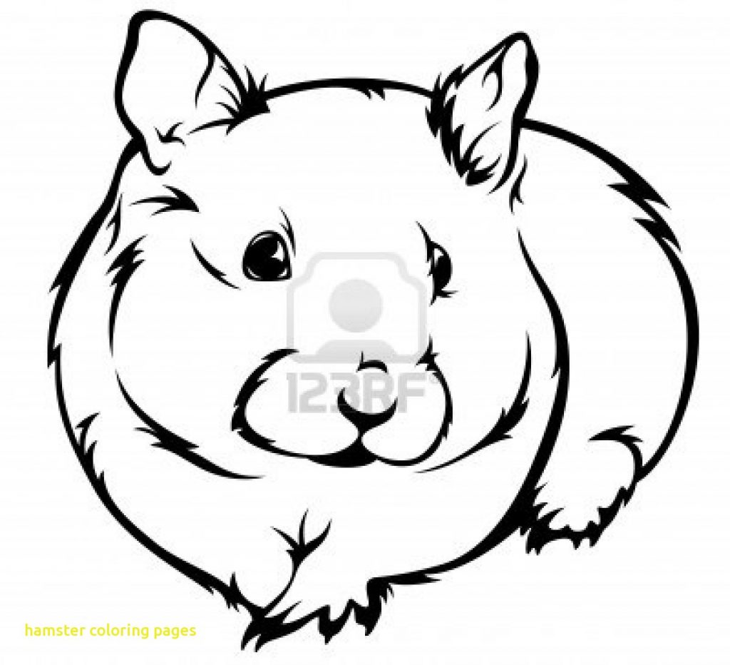 1024x932 Nice Baby Hamster Coloring Pages Component