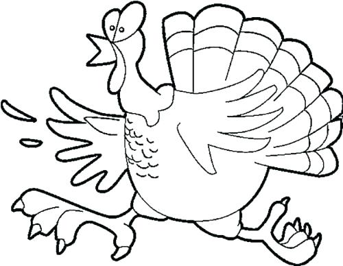 500x388 Funny Turkey Coloring Pages Coloring Pages Funny Funny Coloring