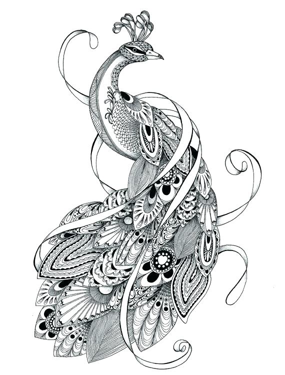 570x750 Hanuman Coloring Pages