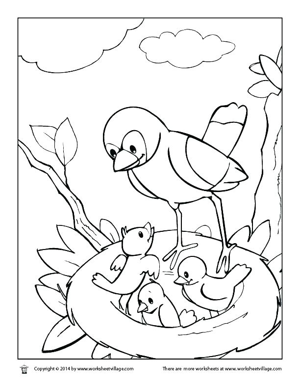612x792 Armadillo Coloring Pages Impair.co