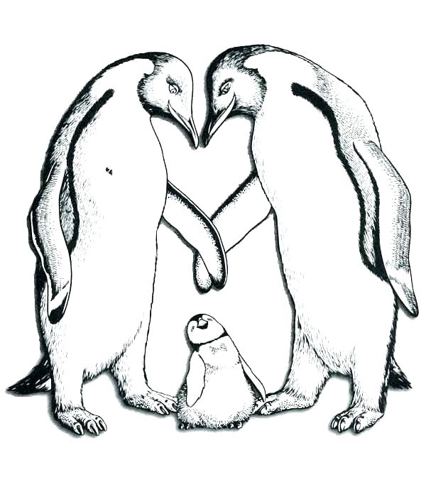 600x686 Kids N 8 Coloring Pages Of Happy Feet 8 Happy Feet Coloring Pages