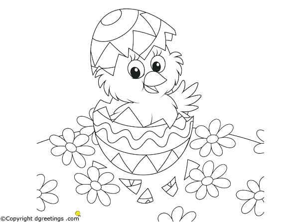 582x445 Chicks Coloring Pages Good Chicks Coloring Pages For Cute Chicks